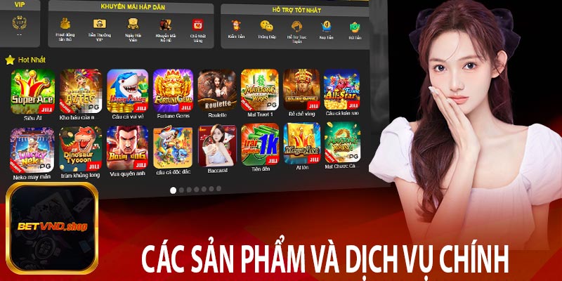 Các sản phẩm và dịch vụ chính